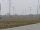 001-LIFE_05_NAT_A_000077_20kV Abtragung_04 20080213.jpg.small.jpeg