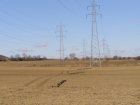 012-LIFE_05_NAT_A_000077_20kV Abtragung_17 20080213.jpg.small.jpeg