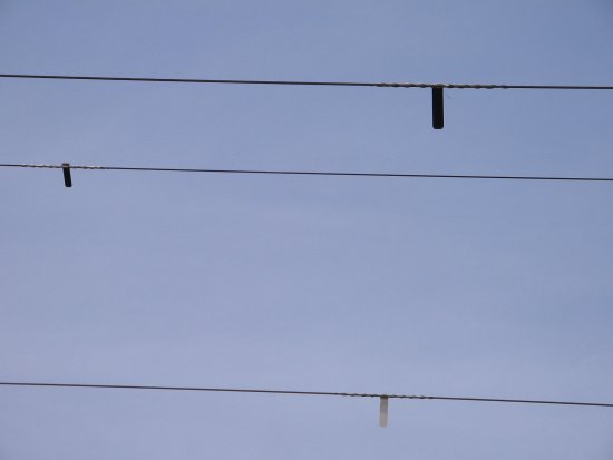 001-IMG_6481.jpg.medium.jpeg
