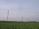 060-IMG_6545.jpg.small.jpeg