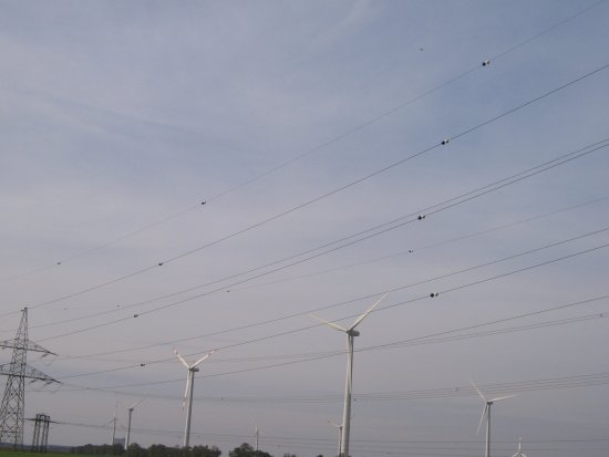 064-IMG_6549.jpg.medium.jpeg