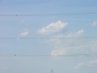 012-DSCN5265.jpg.small.jpeg