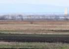 008-IMG_6583upr.jpg.small.jpeg