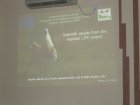 006-DSCN9759.JPG.small.jpeg