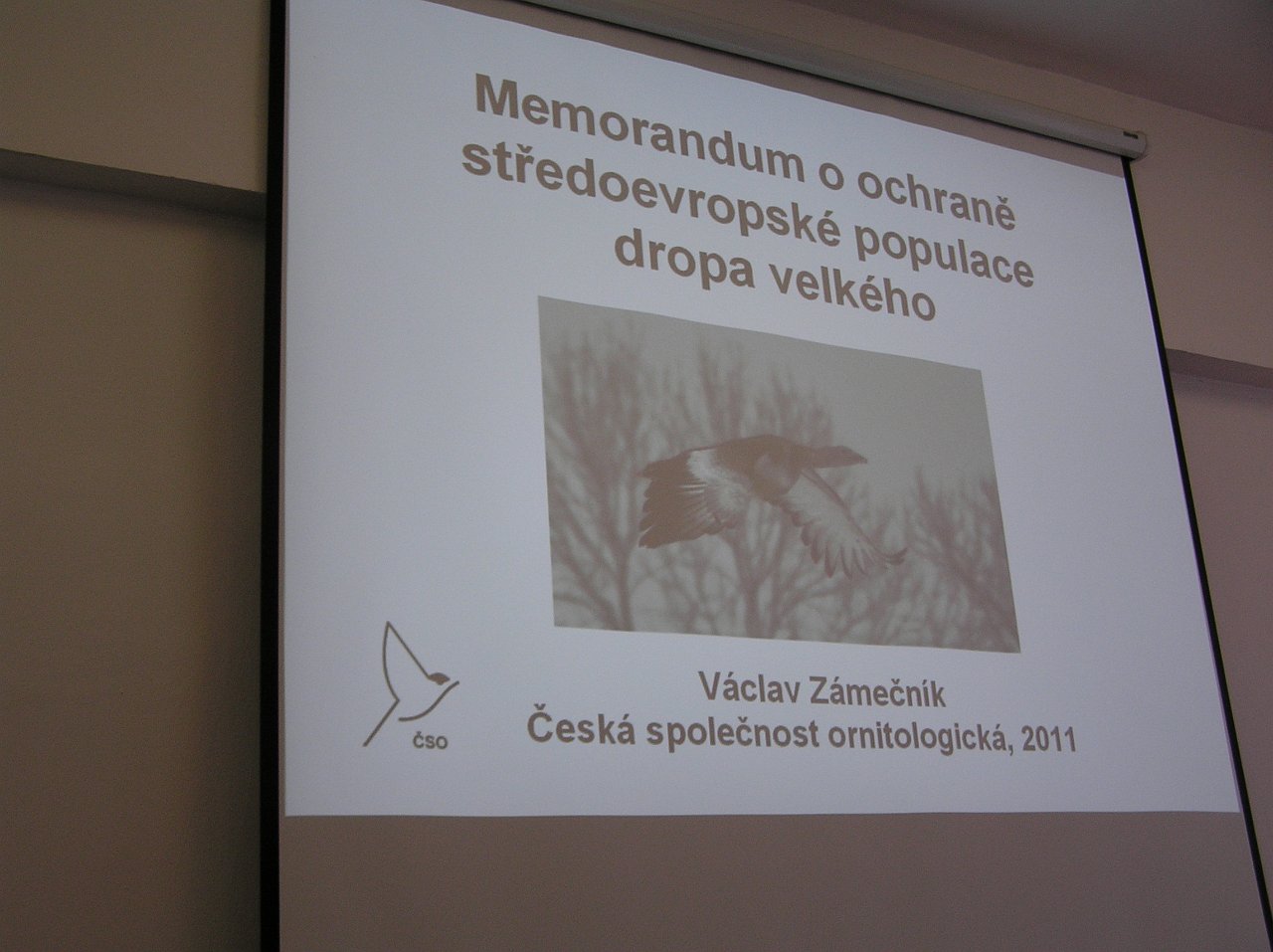 P1010060