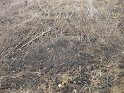 DSCN8158
