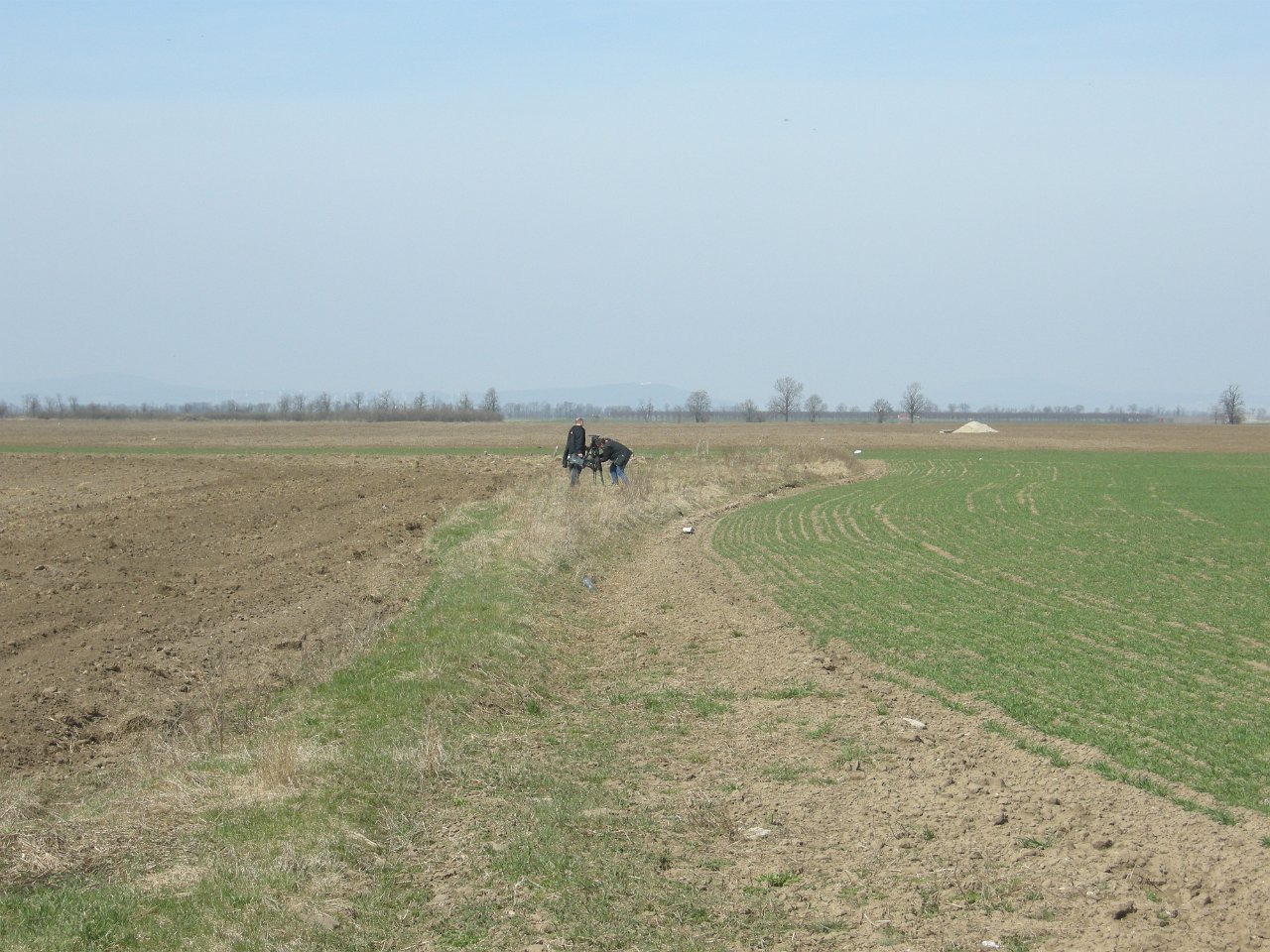 DSCN8974