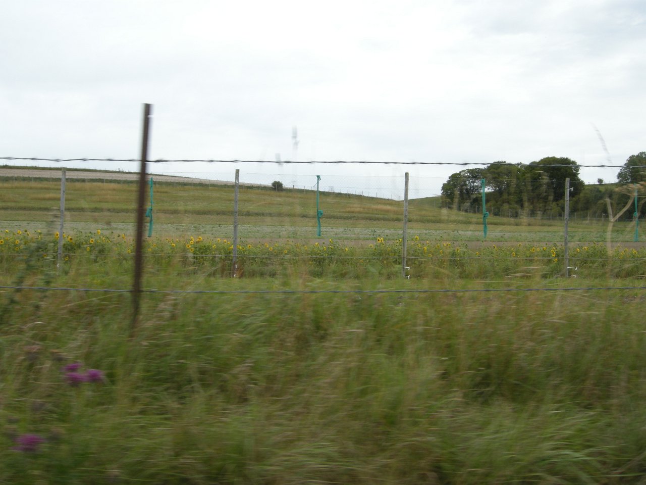 DSCN2301