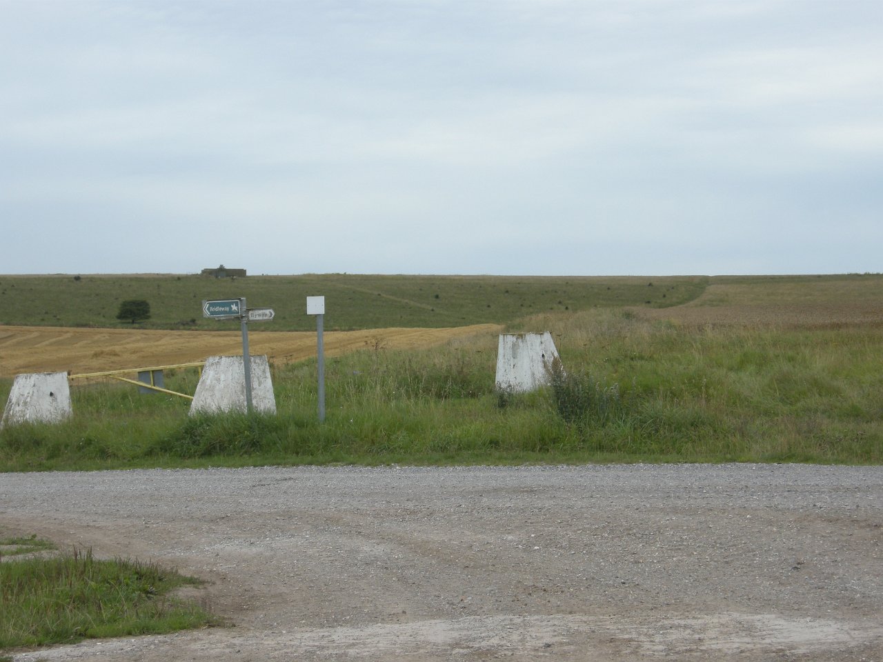 DSCN2305