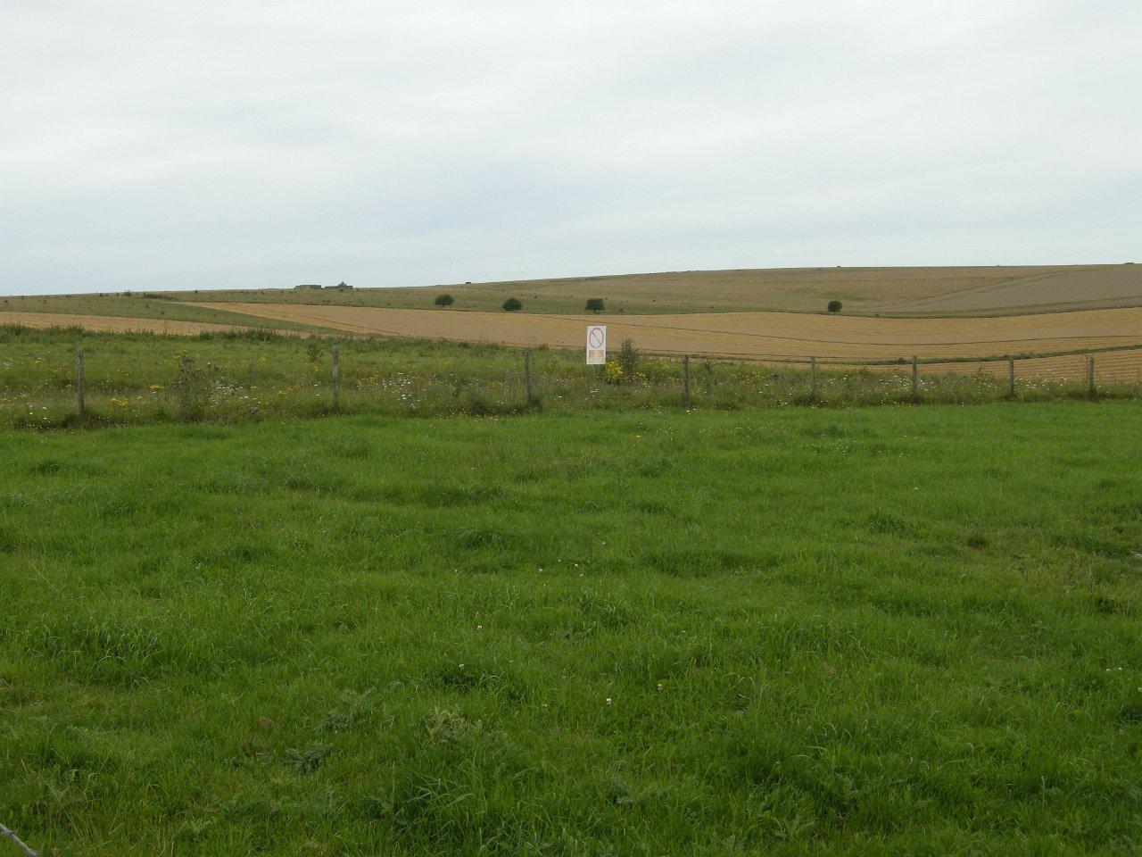 DSCN2307