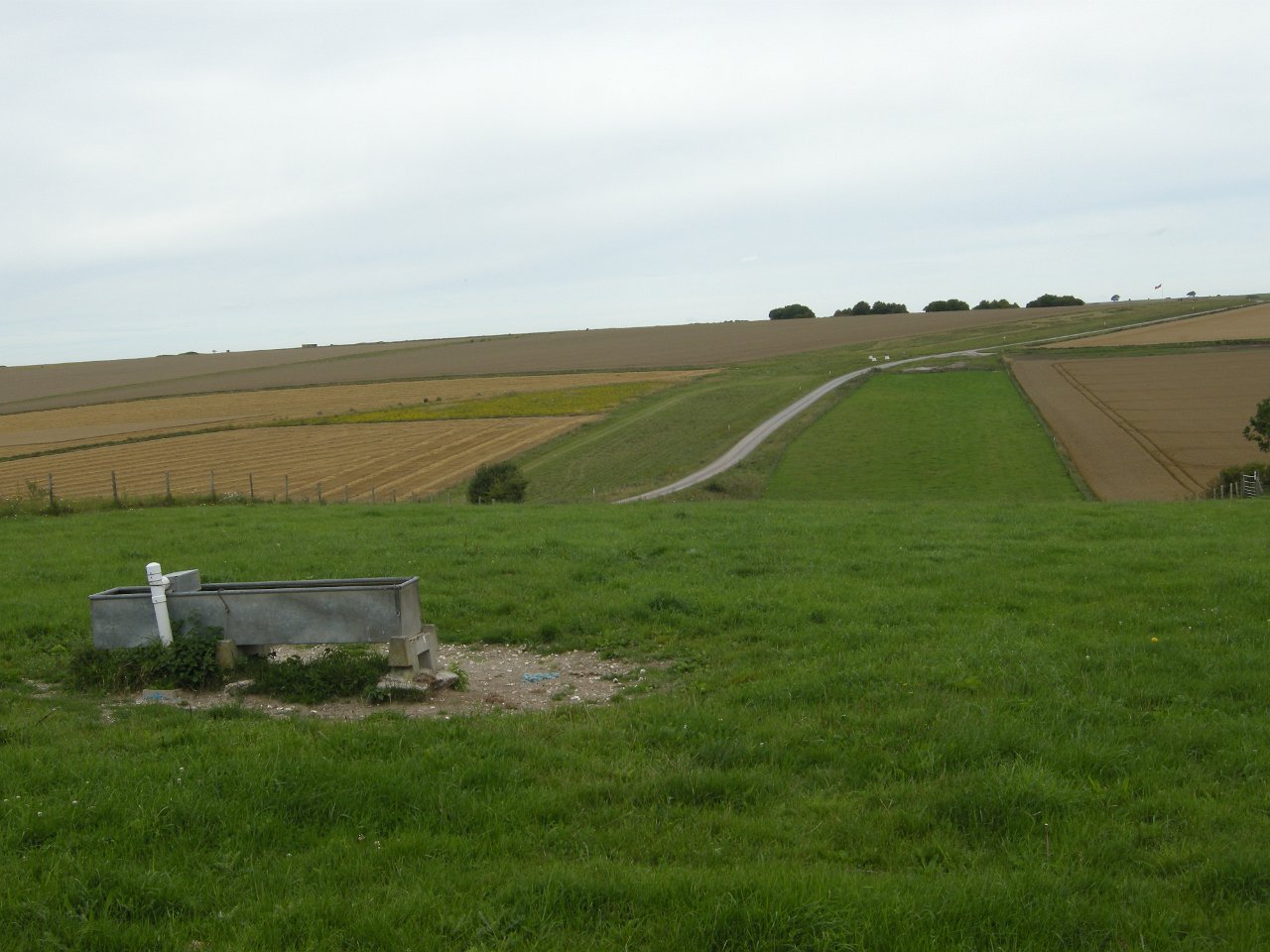 DSCN2308