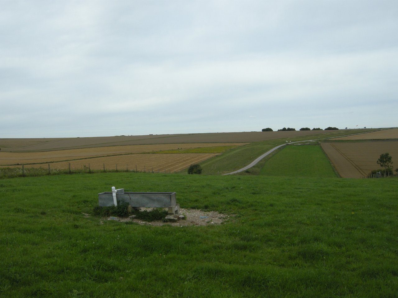 DSCN2310