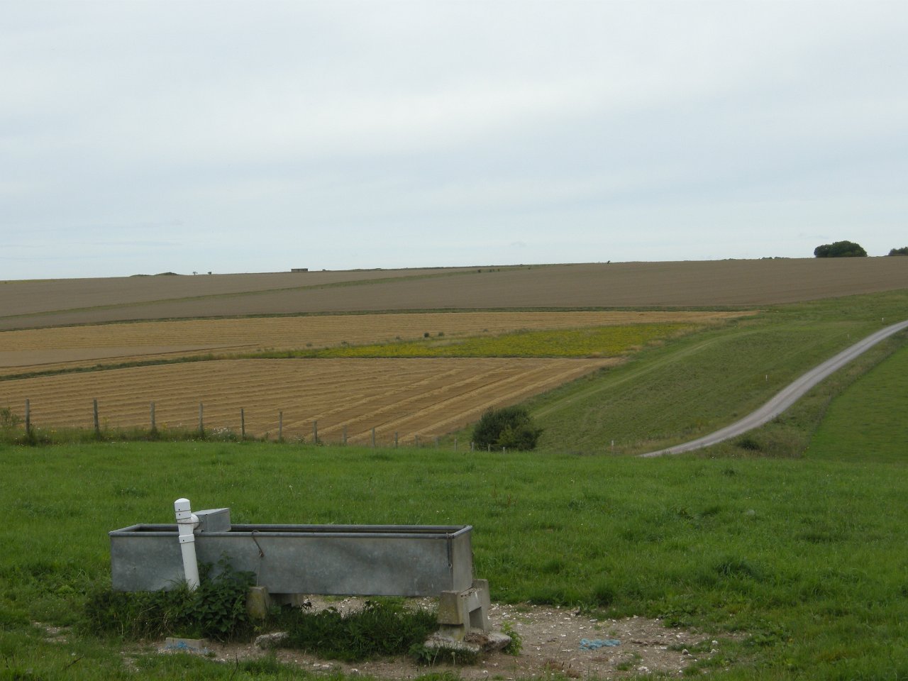 DSCN2319