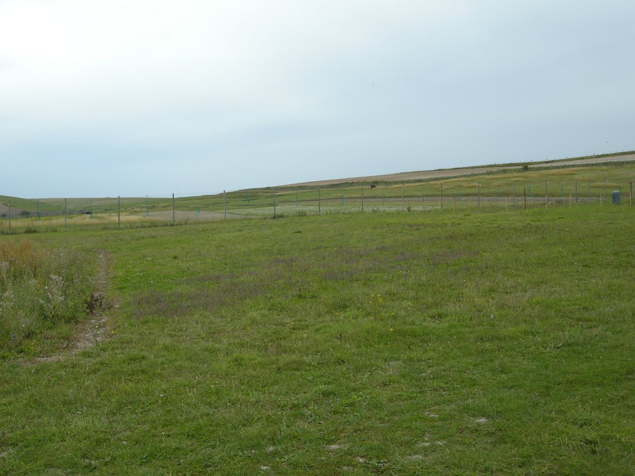 DSCN2370