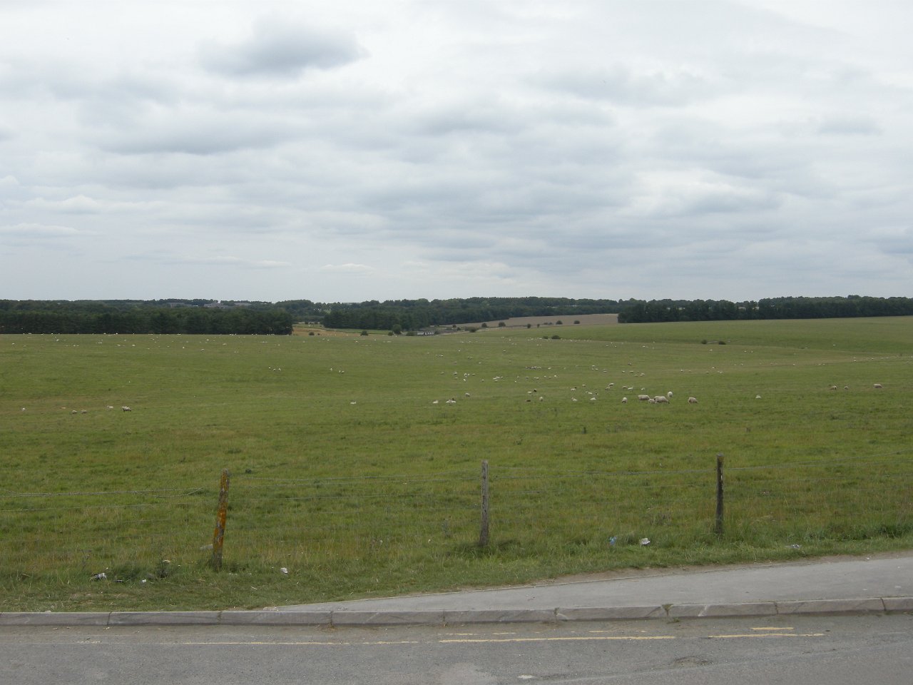 DSCN2408