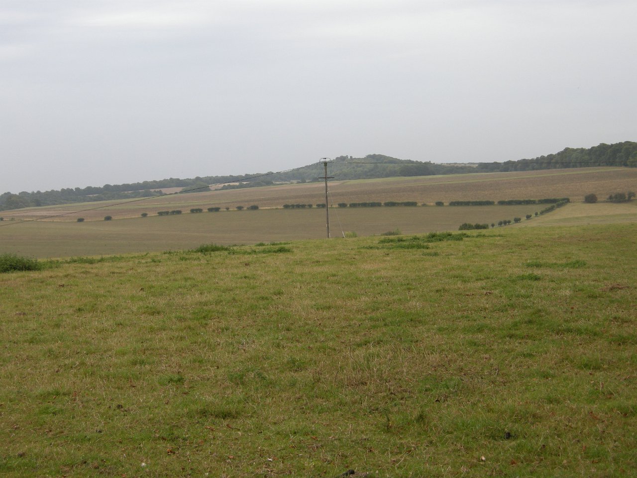 DSCN2449