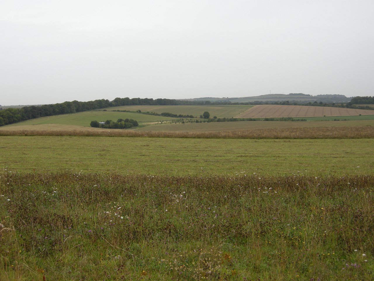 DSCN2472