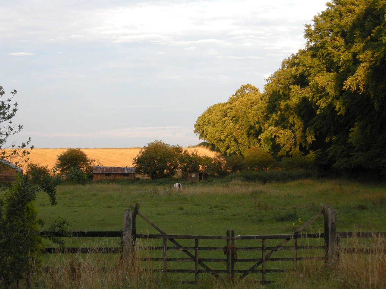 DSCN2505