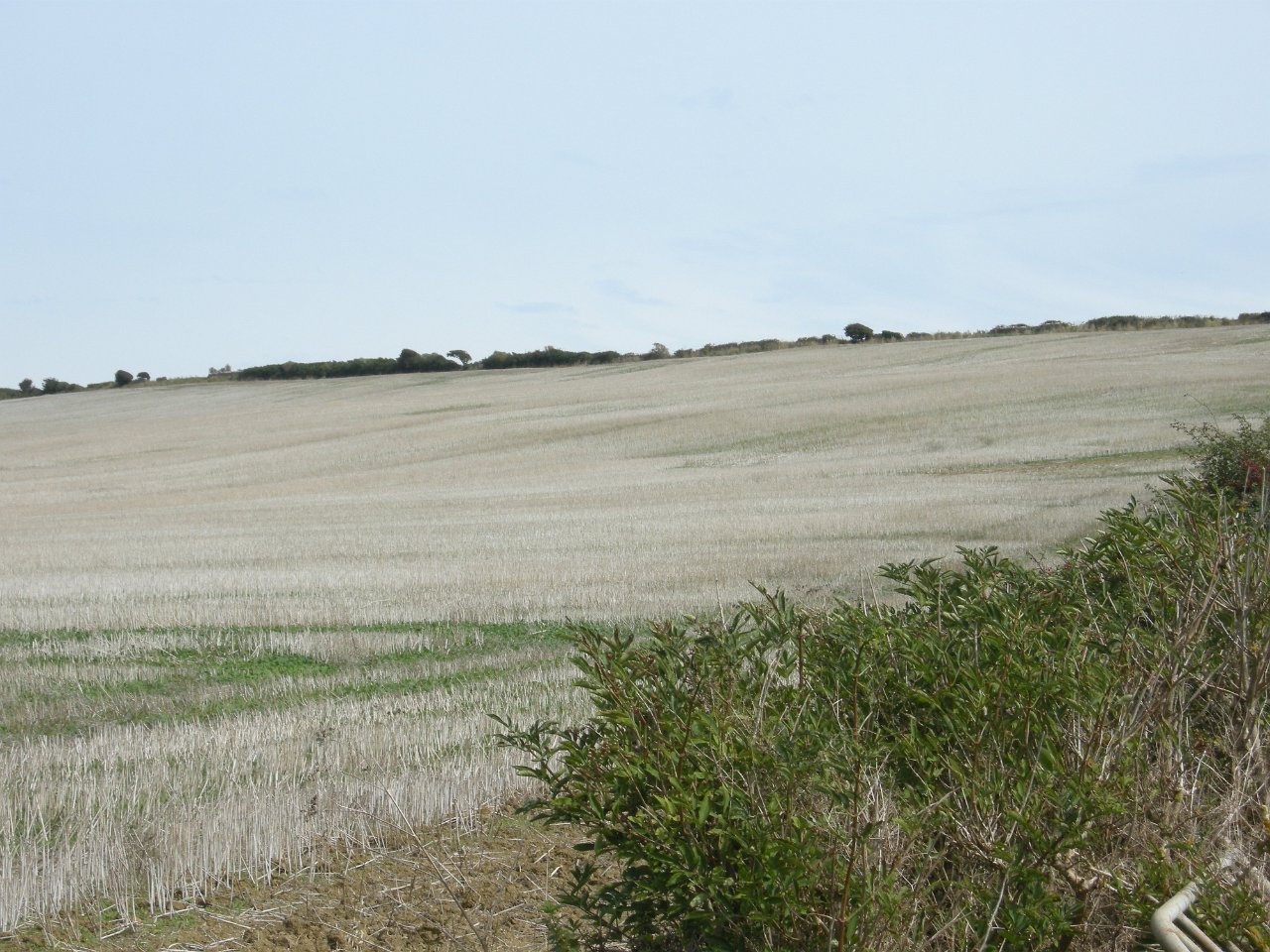 DSCN3364