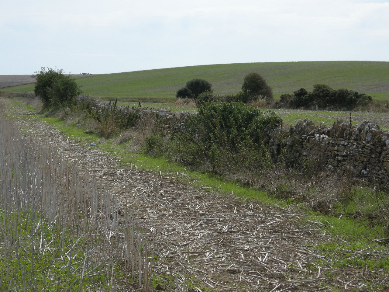 DSCN3366