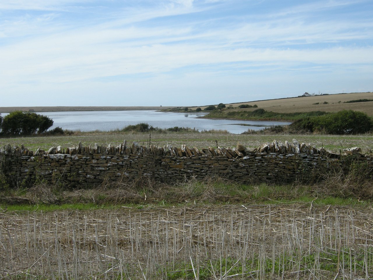 DSCN3367