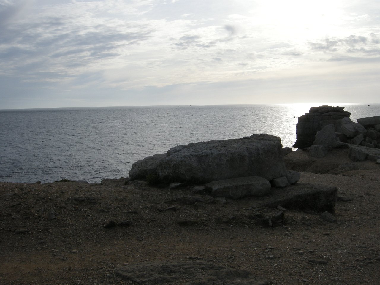 DSCN3433