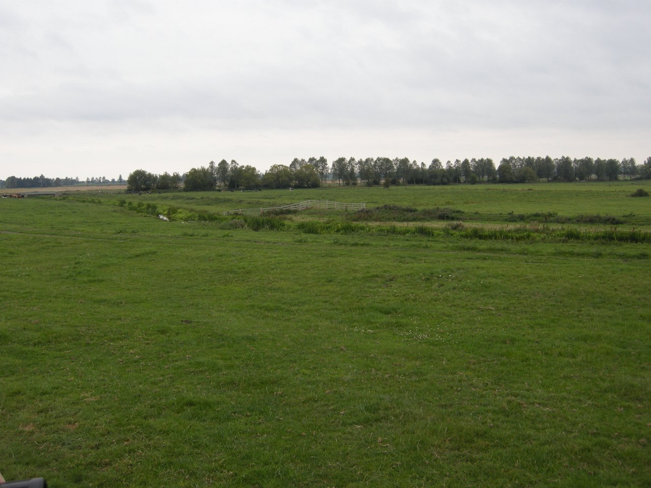 DSCN3441