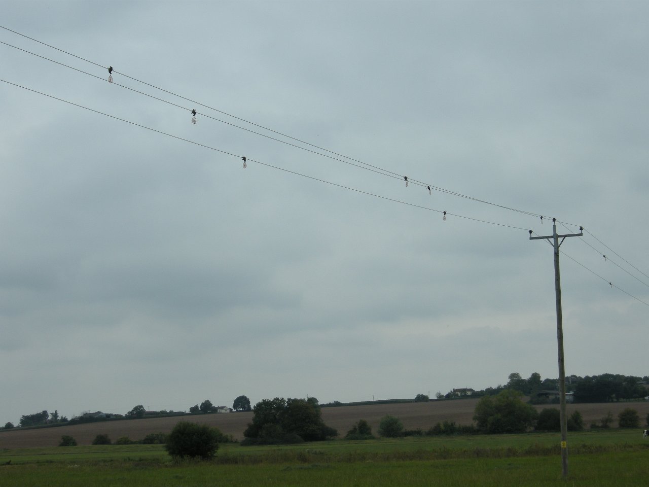 DSCN3444