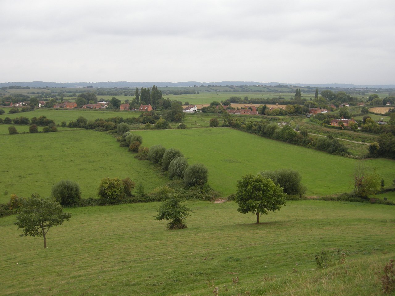 DSCN3456