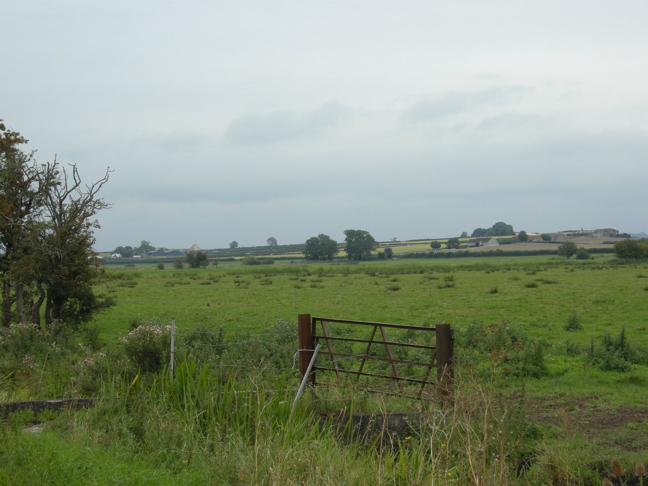 DSCN3483