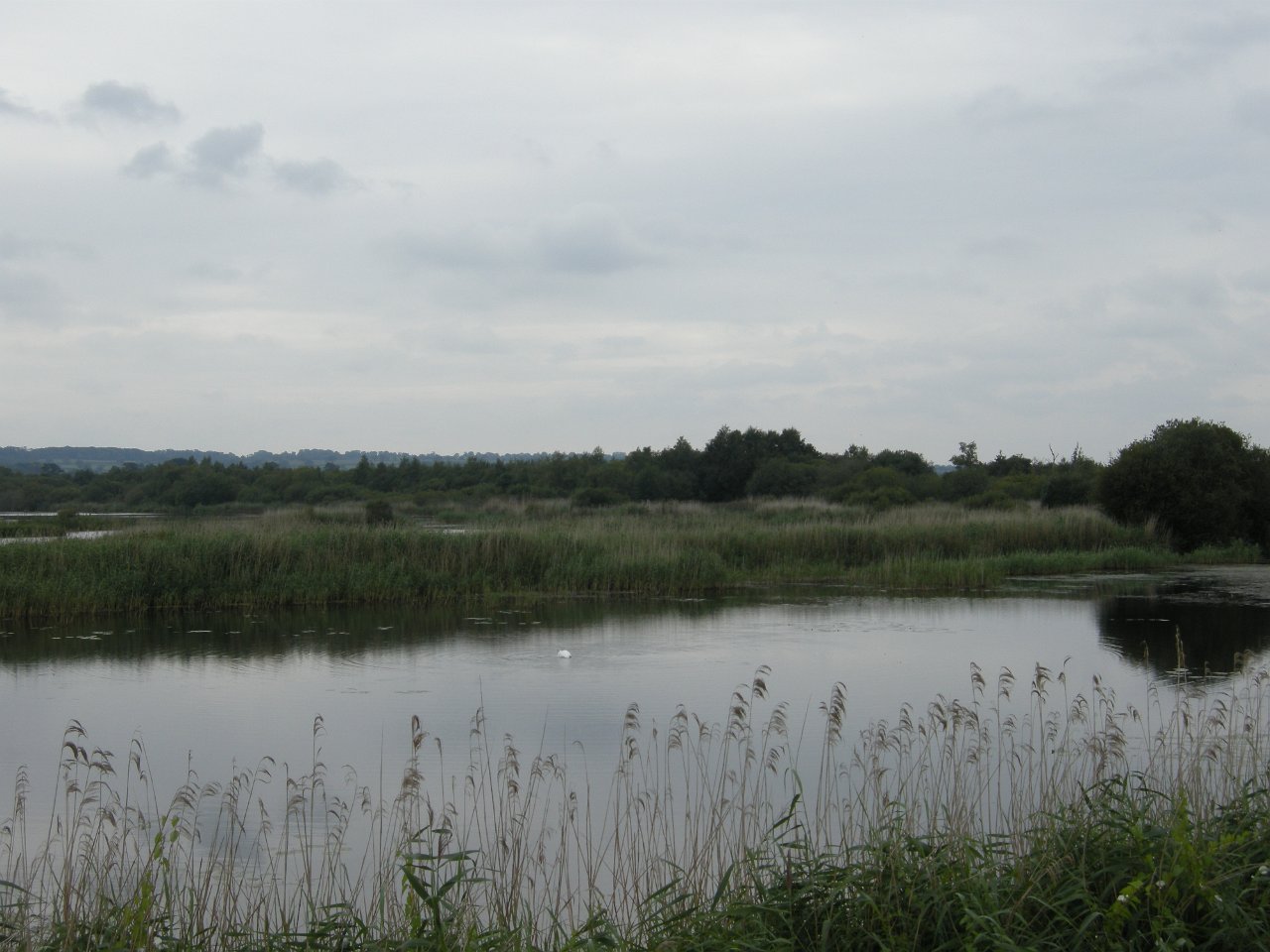 DSCN3504