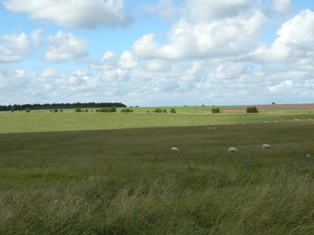 DSCN3588