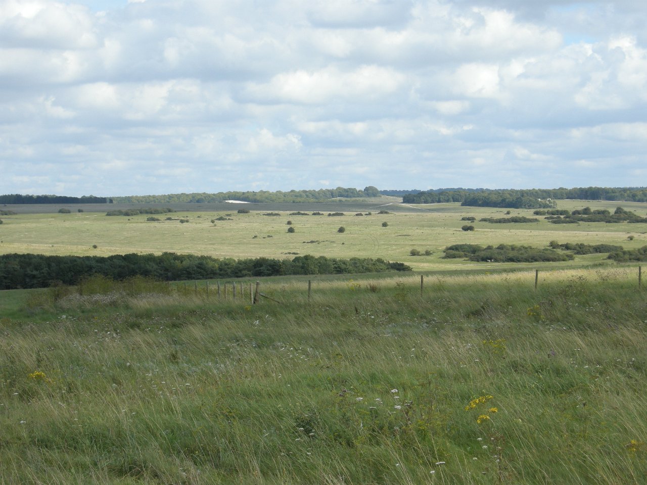 DSCN3610
