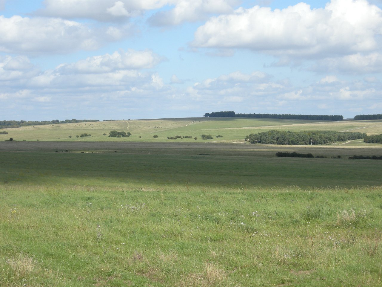 DSCN3612