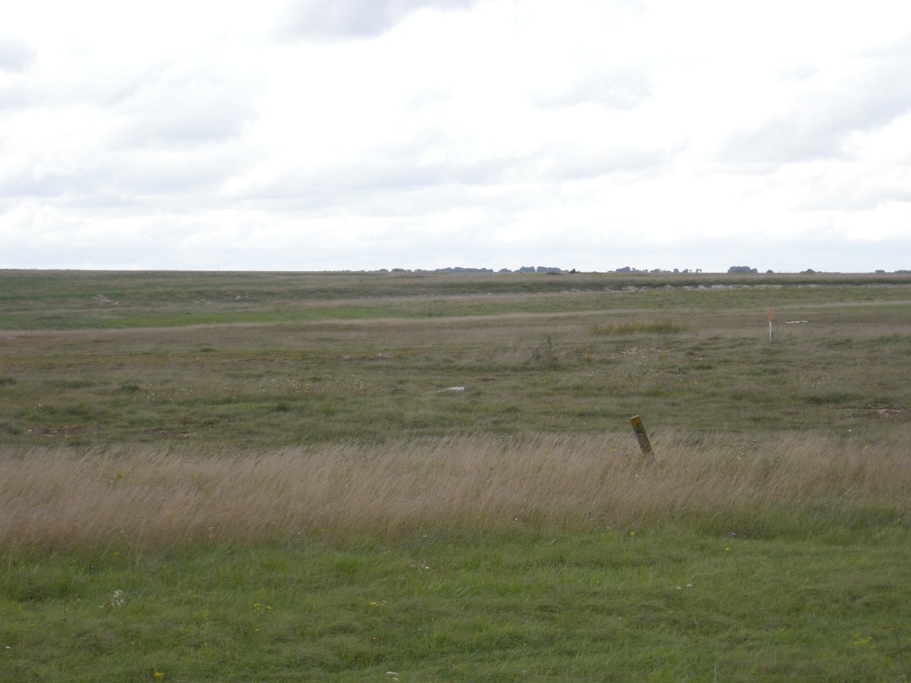 DSCN3664
