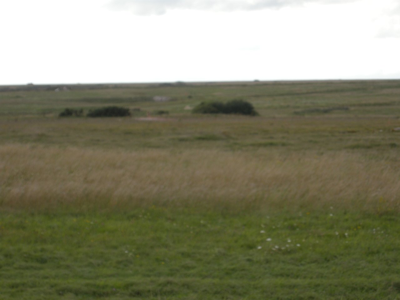DSCN3668