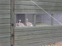 DSCN2379