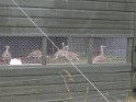 DSCN2381