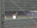 DSCN2385