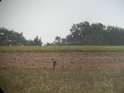 DSCN2468