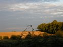 DSCN2503