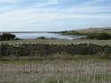 DSCN3367