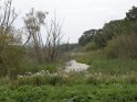 DSCN3496