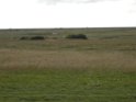 DSCN3668