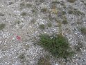 DSCN3679
